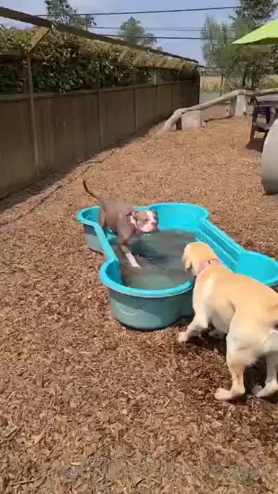 I looove my new job even though it s been hot af we ve been havin fun part 15 