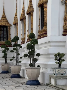 So happy to be able to travel and discover the unique architecture and