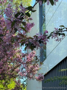 I m not after attention i m after the effect