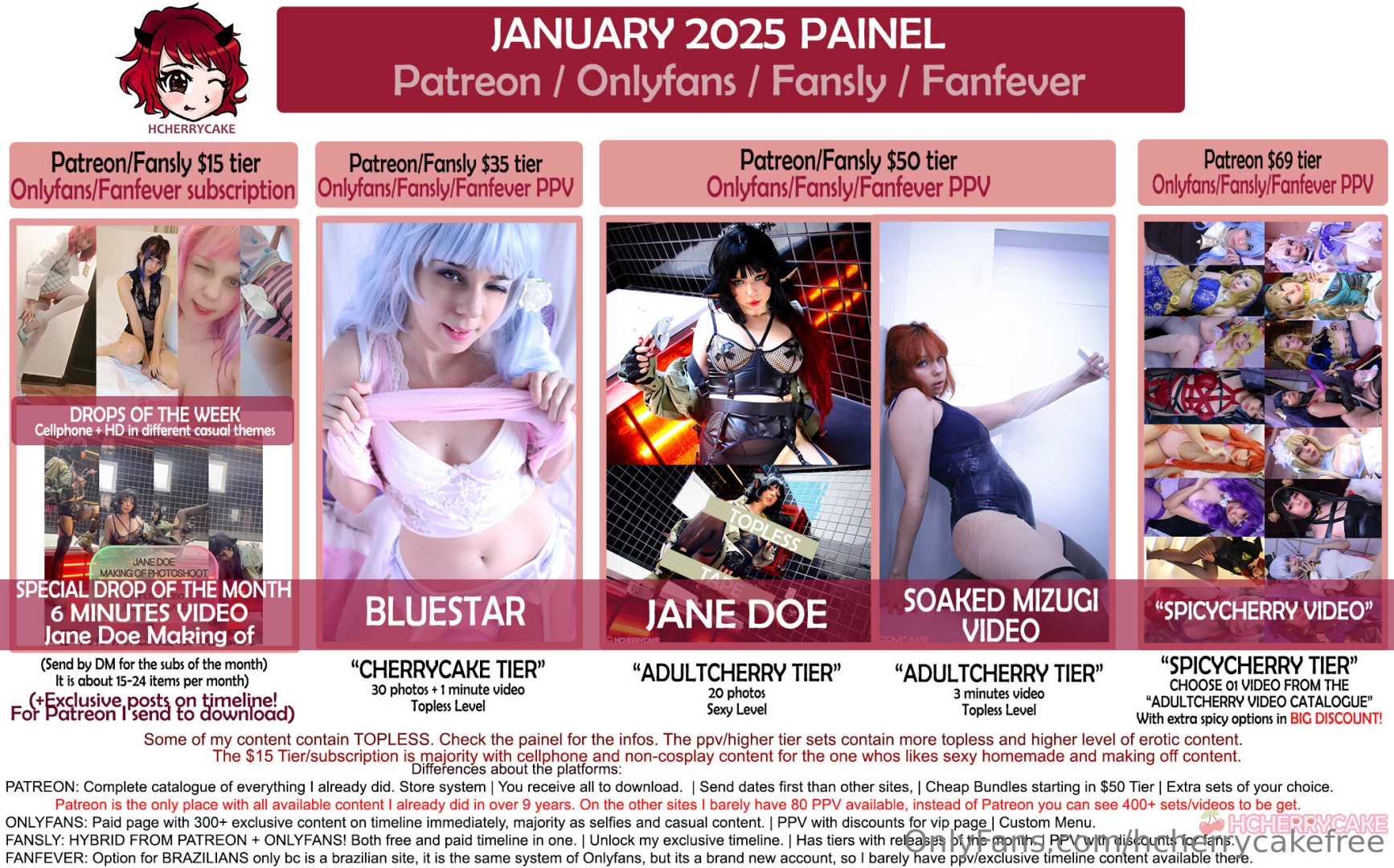 January painel s is here subscriptions in january at hcherrycake 