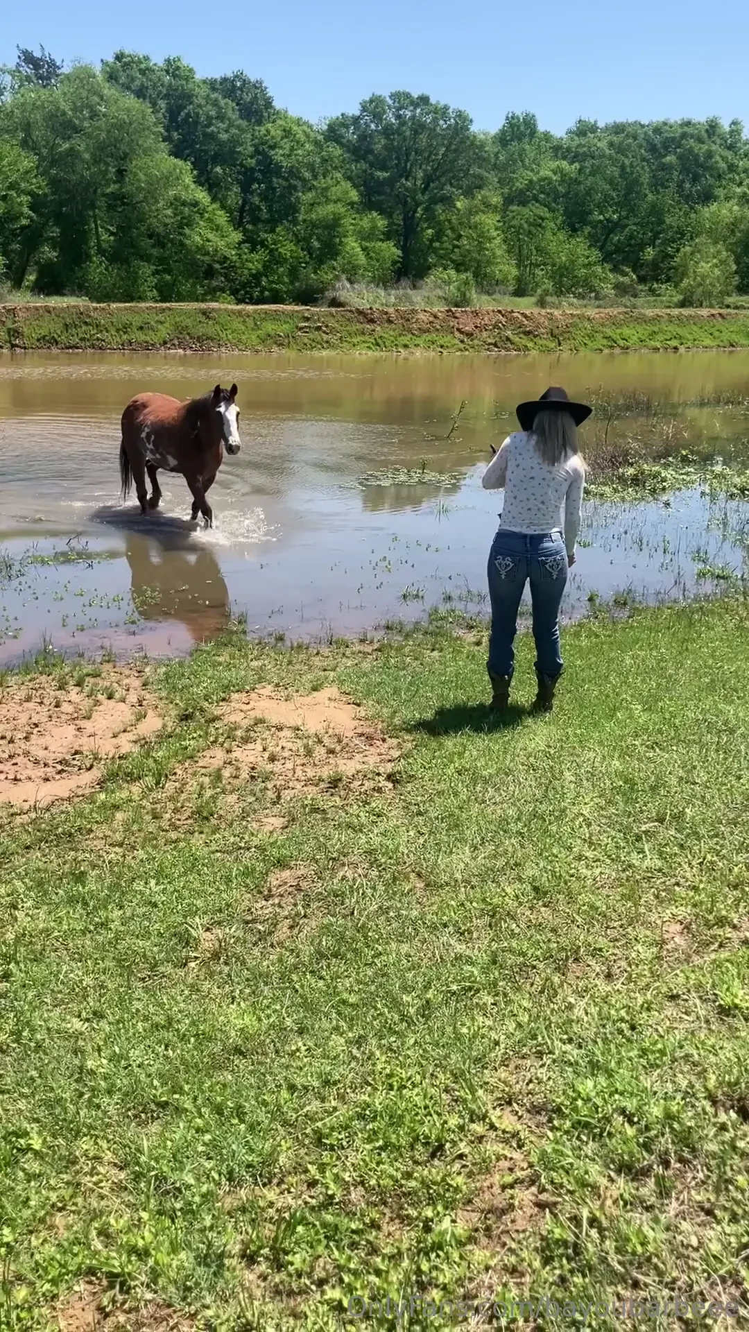 Feeding the ducks if the horse dont eat it all first 