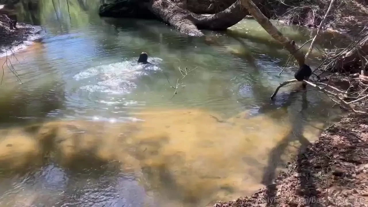 Had some free time today to fish and swim 