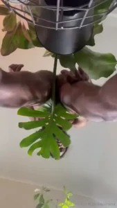 Plant papiii wants to get naughty