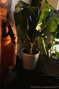 My monstera is thirsty are you