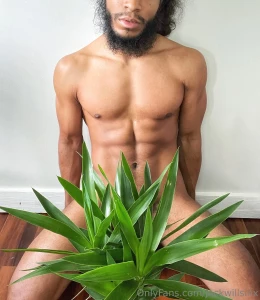 Plant papii