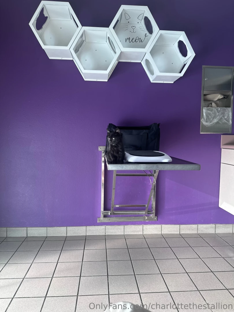 At the vet for my poor sick baby 