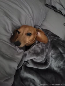 Hey guys sorry i haven t posted the new video yet my doggy has been