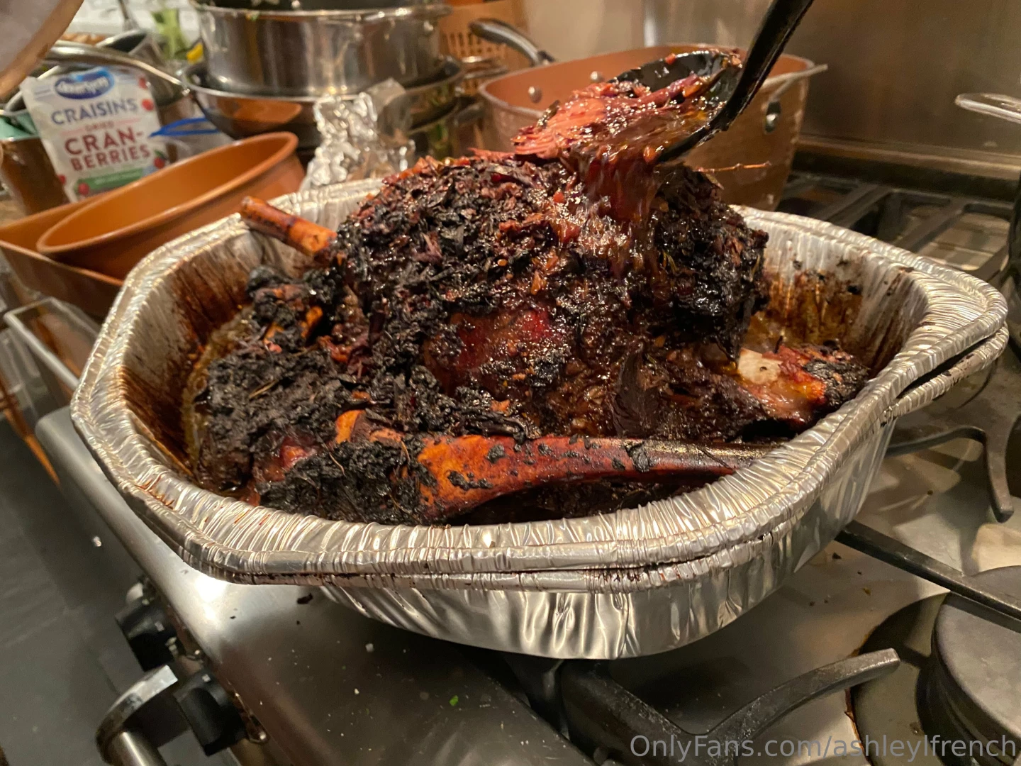 I got to have another thanksgiving with aliceoncam and michael cooked part 1 