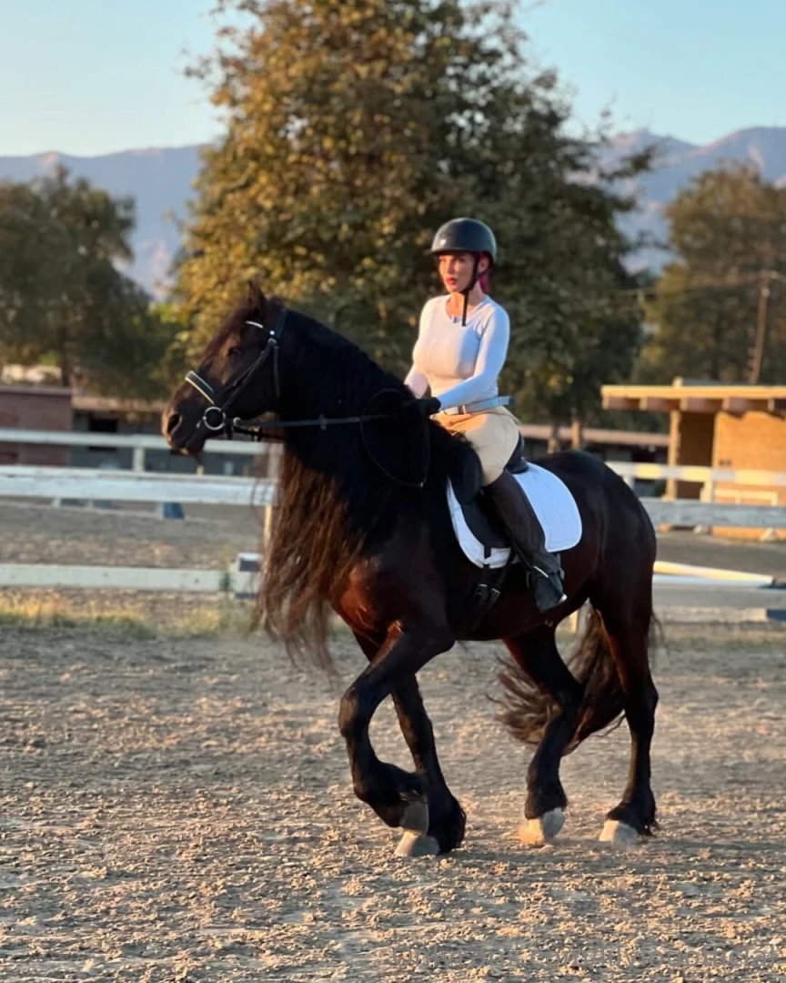 Can i ride you next part 27 