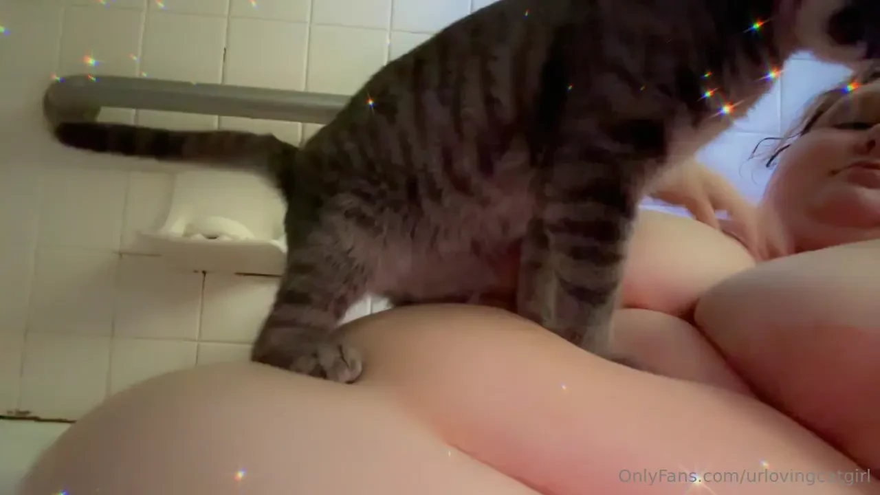 Who wishes they were my cat rn been a bit of a busy week with some 