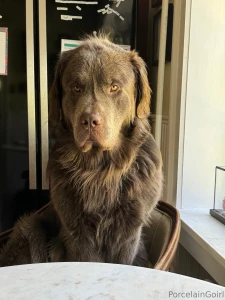 Are you just gonna sit there and judge everyone