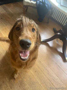 Lmaoo did atlas nailed it or gaia