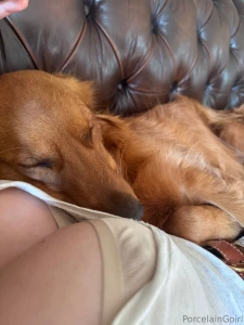 Gaia s fav place to sleep