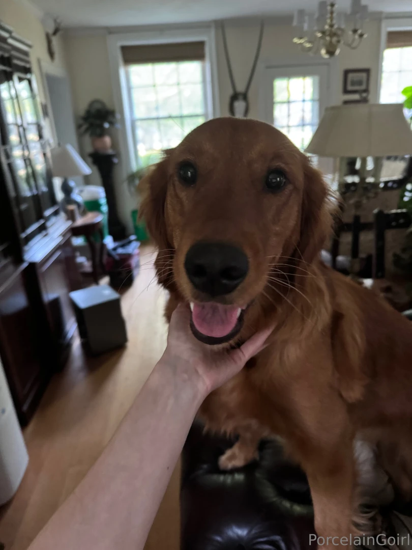 Gaia says hi to you guys part 1 