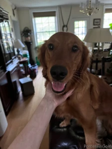 Gaia says hi to you guys part 1