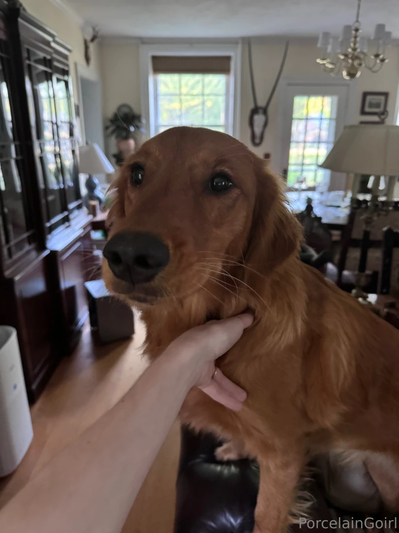 Gaia says hi to you guys 