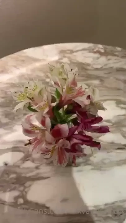 Photo dump wish u were here part 1 