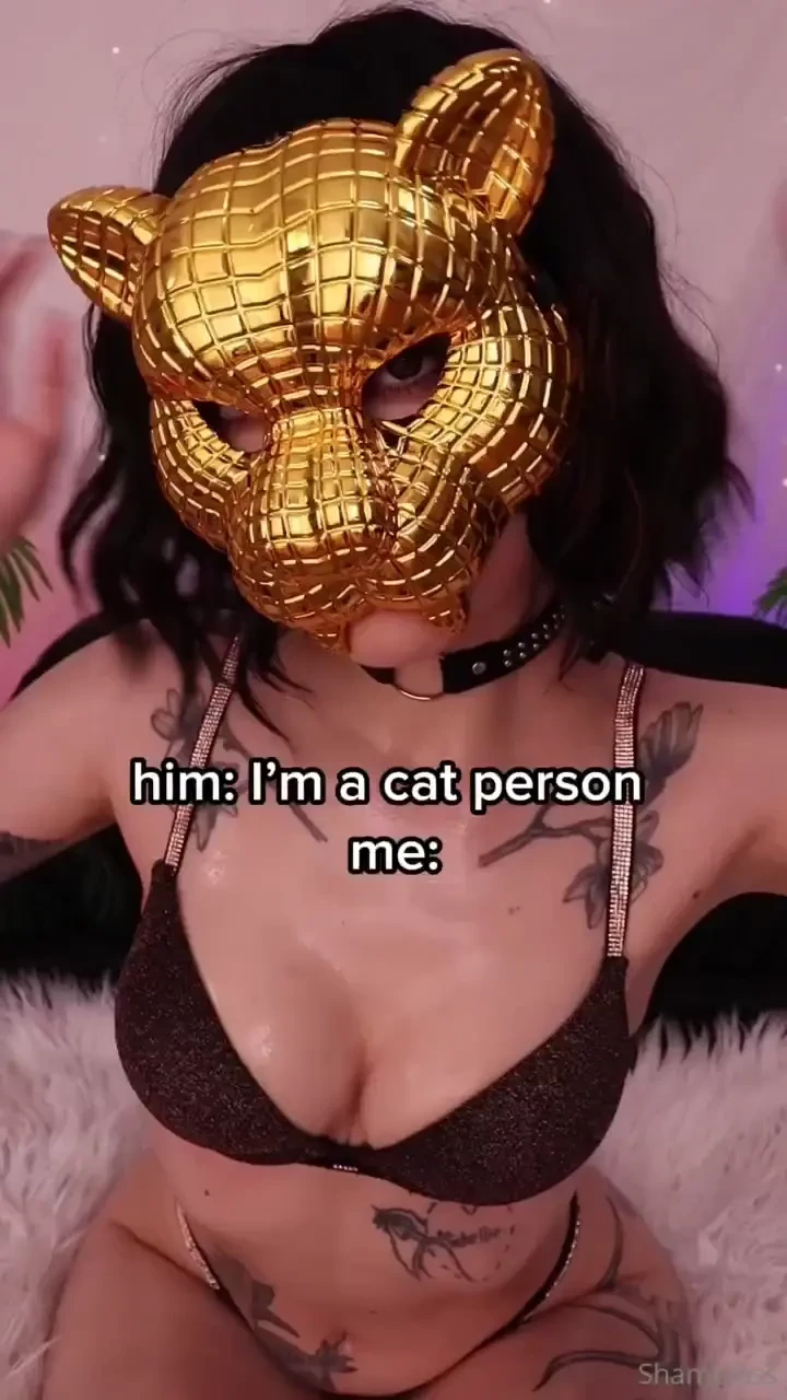 Are you a cat person then you re going to love me get ready for a game 