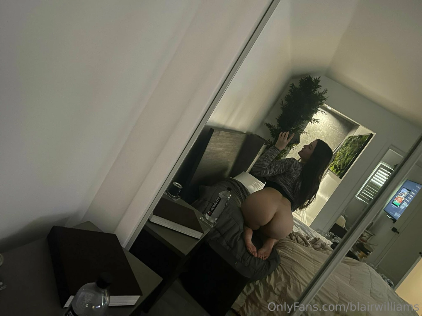 Let me pop you like a firework today offering a limited of 50 off 