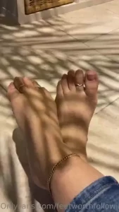 It s cute how the shadow of my plant and the sandy tones of my