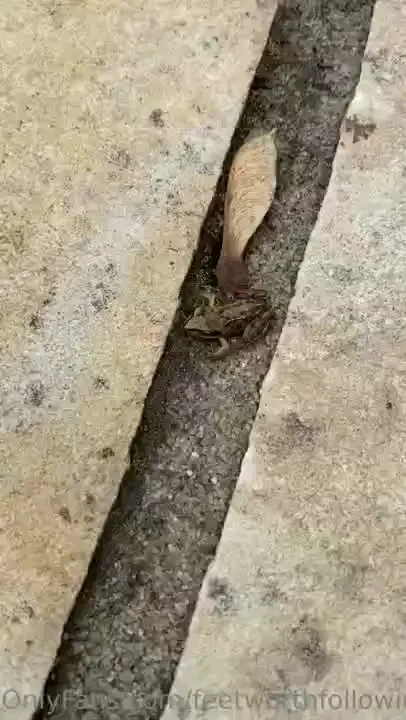 Look how cute part 10 