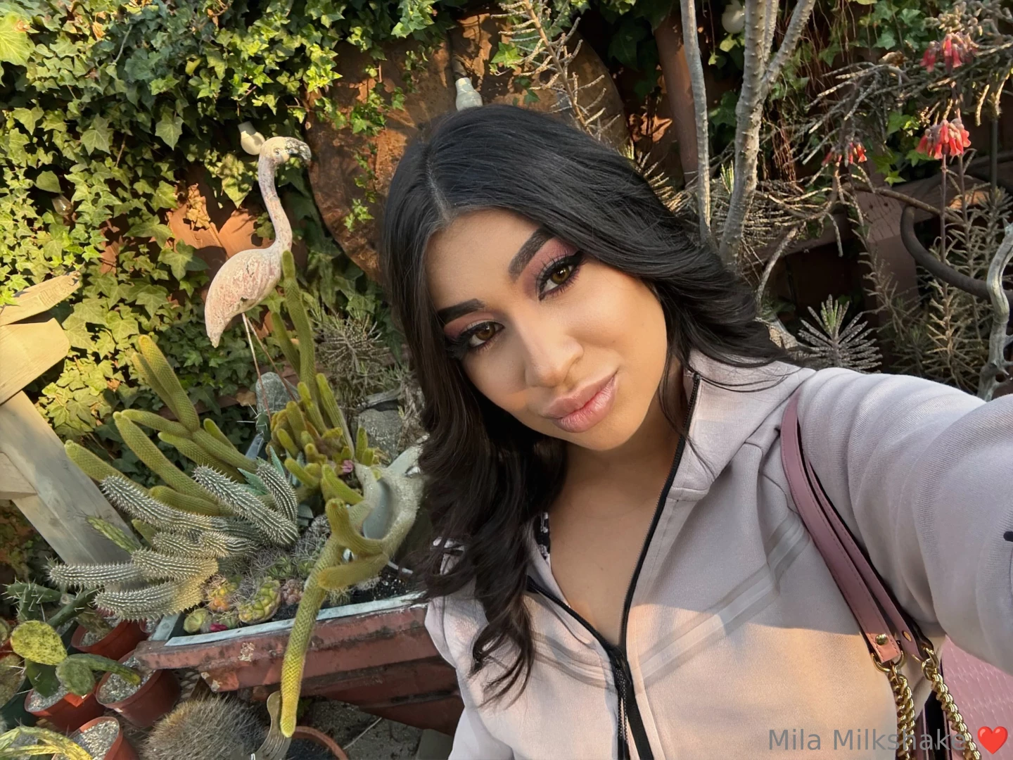 Caught between a cactus and a hard place 