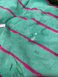 The next assignment was to go the park and have picnic dressed up like