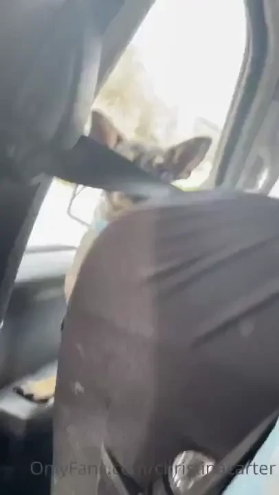 My super glam life we went we visited and now we are on our way back 