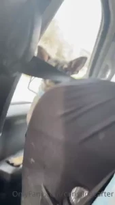 My super glam life we went we visited and now we are on our way back