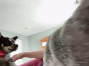 Oddly enough i was able to finish editing all the customs that got