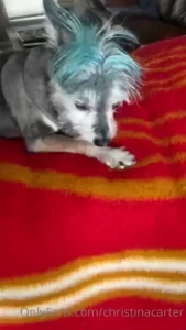 Jack he knows what he wants he knows how to push my buttons