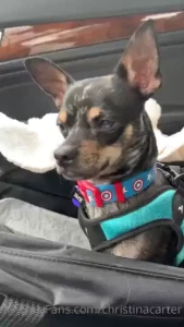 My regal and beautiful jack