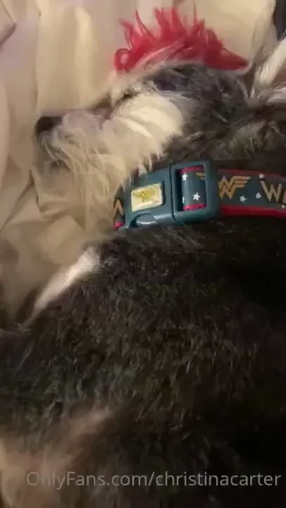 Home with me and pint and yes i ve been redecorating 