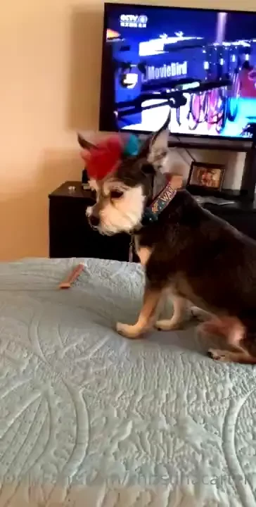 Answering your emails from here right now 