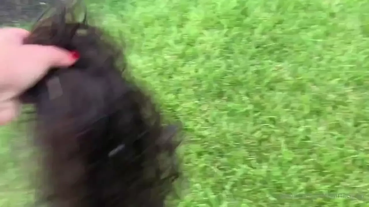 We are shooting the next wonder woman vs tiny terror episode monday 