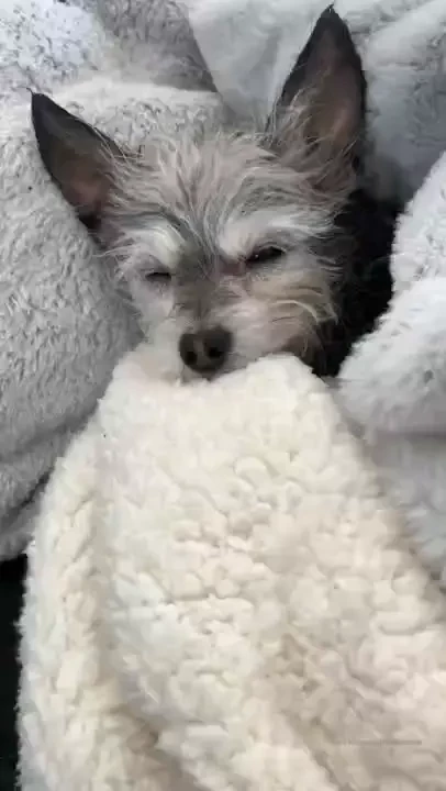 The love of my life part 1 