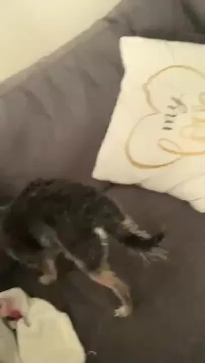 Good morning from your favorite ass washer 