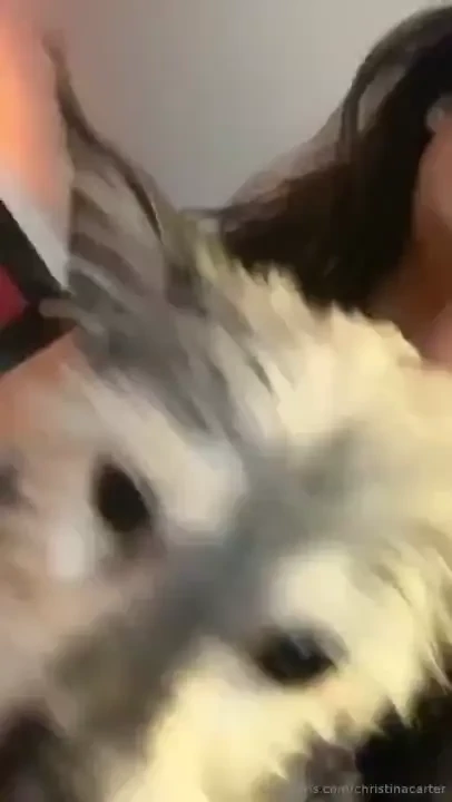 Before yesterday s shoot 