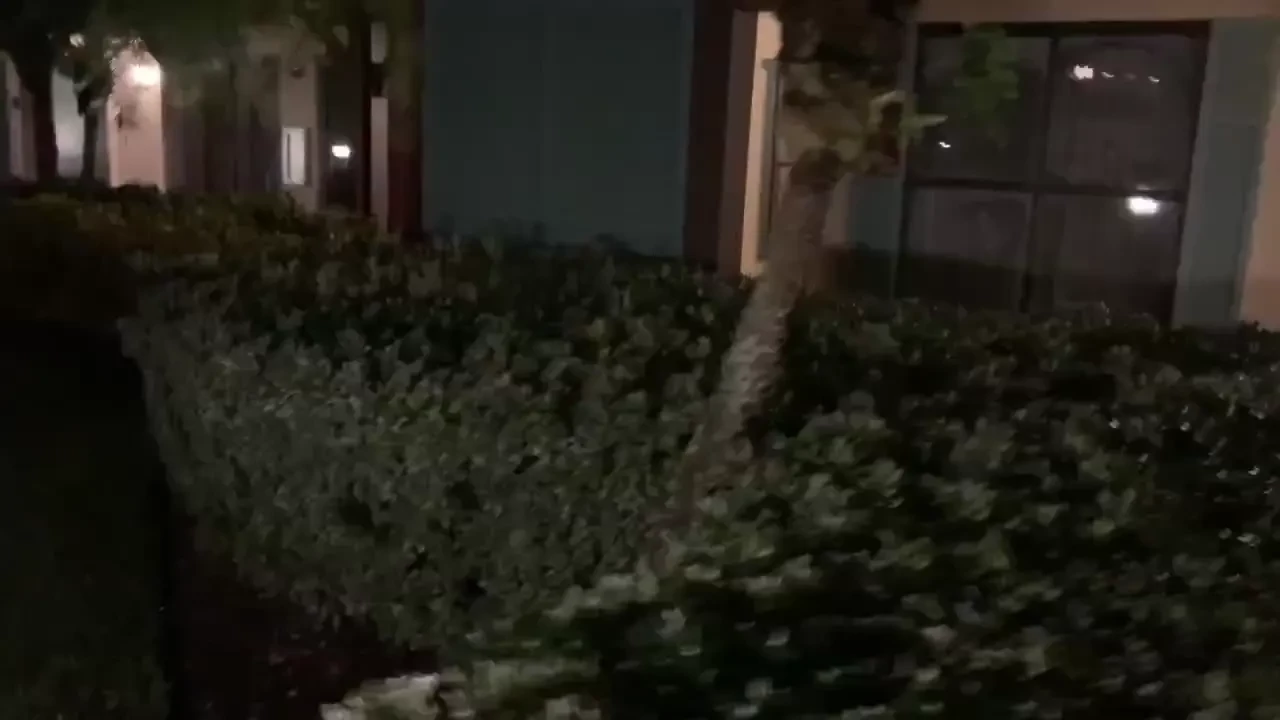 Late nights at the resort part 4 