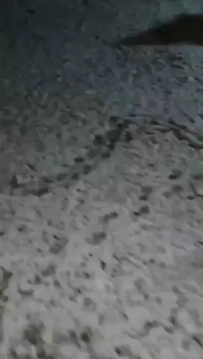 I forgot to post it but there s snow in nc 