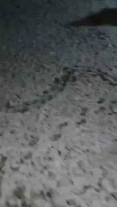 I forgot to post it but there s snow in nc