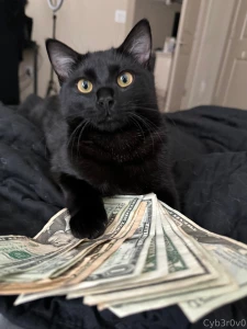 Pussy money