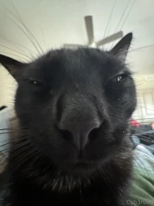Hewo there