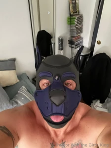 Dont let this mutant muscle pup fool u he will flip u over and gap ur