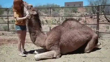 It s humpday part 25 