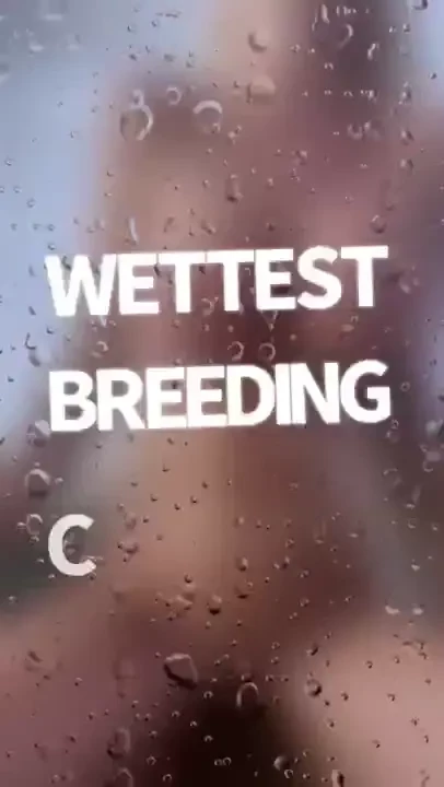 Real dick fuck show open this hot bg video and get one solo video for 