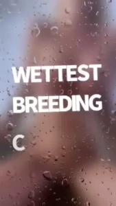 Real dick fuck show open this hot bg video and get one solo video for