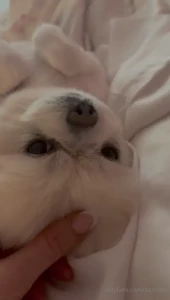 Little lazy bones