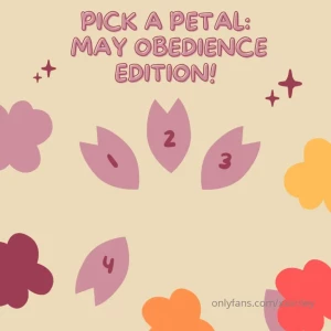 Pick a petal obey me sweetly think you re good at following orders