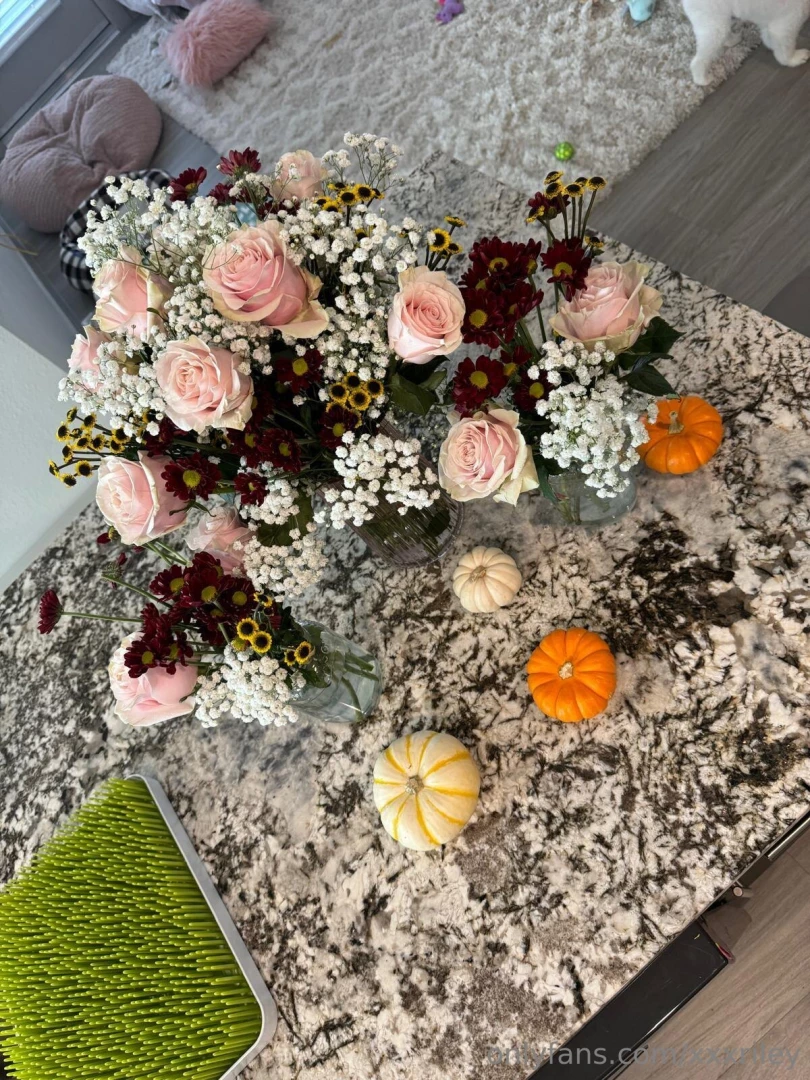 Do you like my pretty fall display 